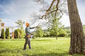 Best Lot and Land Clearing  in Seaford, NY